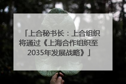 上合秘书长：上合组织将通过《上海合作组织至2035年发展战略》
