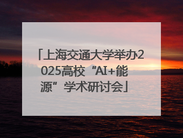 上海交通大学举办2025高校“AI+能源”学术研讨会