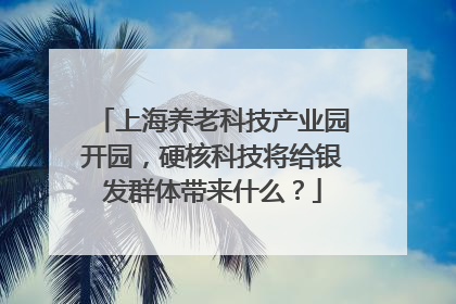 上海养老科技产业园开园，硬核科技将给银发群体带来什么？