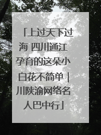 上过天下过海 四川通江孕育的这朵小白花不简单｜川陕渝网络名人巴中行