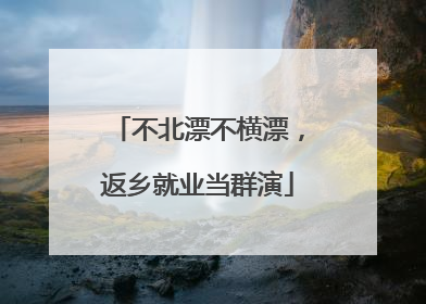 不北漂不横漂，返乡就业当群演