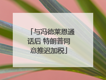 与冯德莱恩通话后 特朗普同意推迟加税