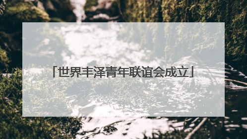 世界丰泽青年联谊会成立