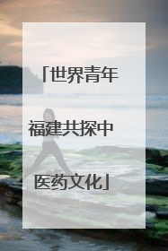 世界青年福建共探中医药文化