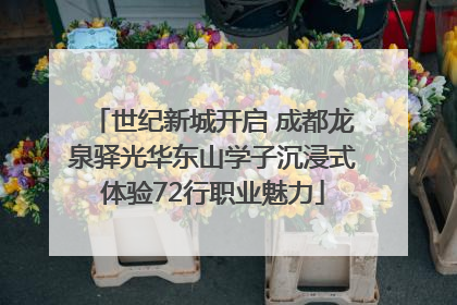 世纪新城开启 成都龙泉驿光华东山学子沉浸式体验72行职业魅力