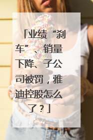 业绩“刹车”、销量下降、子公司被罚，雅迪控股怎么了？