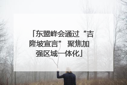 东盟峰会通过“吉隆坡宣言” 聚焦加强区域一体化