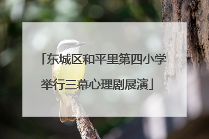 东城区和平里第四小学举行三幕心理剧展演