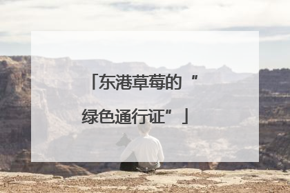 东港草莓的“绿色通行证”