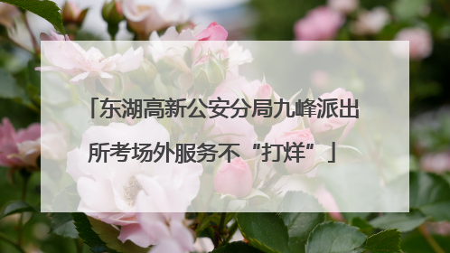 东湖高新公安分局九峰派出所考场外服务不“打烊”