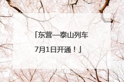 东营—泰山列车7月1日开通！