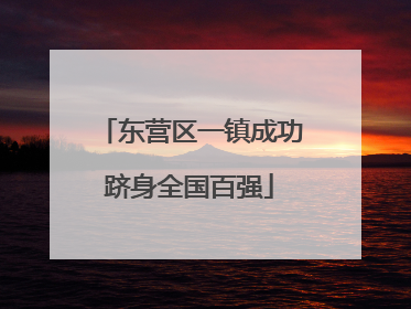 东营区一镇成功跻身全国百强