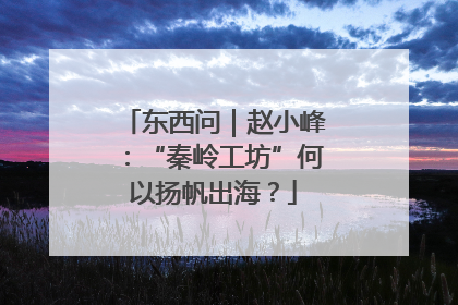 东西问｜赵小峰：“秦岭工坊”何以扬帆出海？