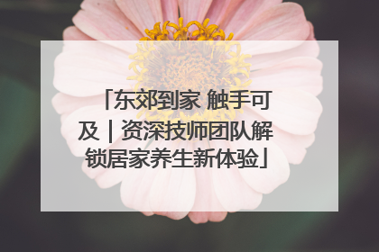 东郊到家 触手可及｜资深技师团队解锁居家养生新体验