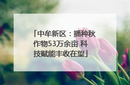 中牟新区：播种秋作物53万余亩 科技赋能丰收在望
