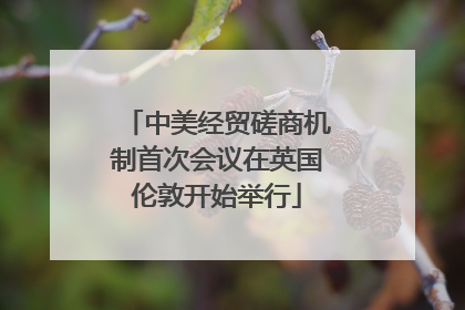 中美经贸磋商机制首次会议在英国伦敦开始举行