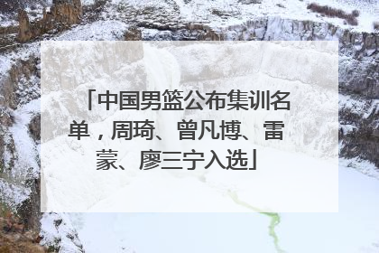 中国男篮公布集训名单，周琦、曾凡博、雷蒙、廖三宁入选