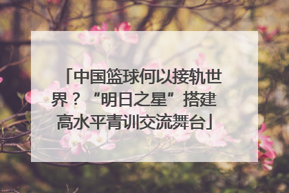 中国篮球何以接轨世界？“明日之星”搭建高水平青训交流舞台