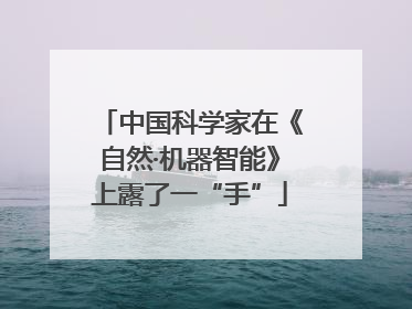 中国科学家在《自然·机器智能》上露了一“手”