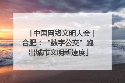 中国网络文明大会｜合肥：“数字公交”跑出城市文明新速度