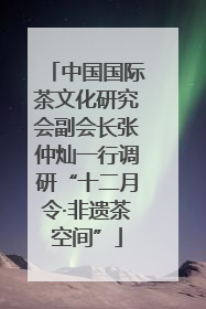 中国国际茶文化研究会副会长张仲灿一行调研“十二月令·非遗茶空间”