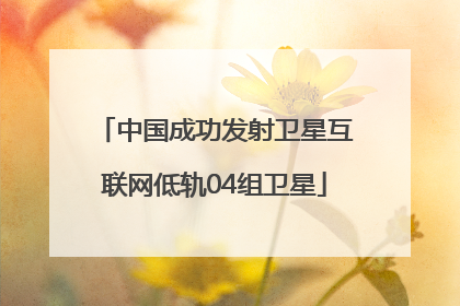 中国成功发射卫星互联网低轨04组卫星
