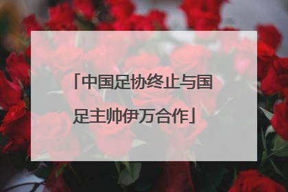 中国足协终止与国足主帅伊万合作