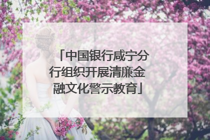 中国银行咸宁分行组织开展清廉金融文化警示教育