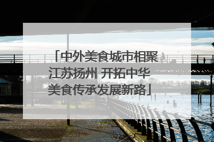 中外美食城市相聚江苏扬州 开拓中华美食传承发展新路