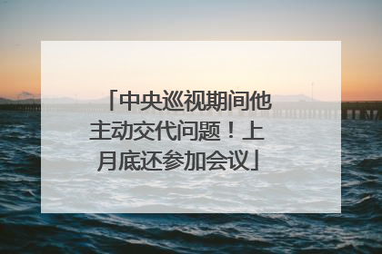 中央巡视期间他主动交代问题！上月底还参加会议