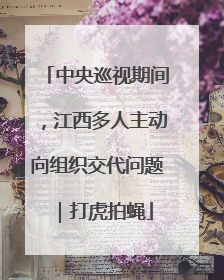 中央巡视期间,江西多人主动向组织交代问题|打虎拍蝇