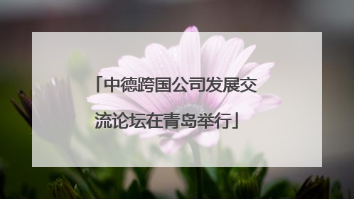 中德跨国公司发展交流论坛在青岛举行