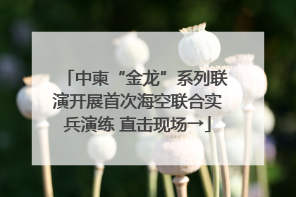 中柬“金龙”系列联演开展首次海空联合实兵演练 直击现场→
