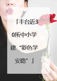 丰台近30所中小学建“彩色学安路”