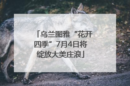 乌兰图雅“花开四季”7月4日将绽放大美庄浪