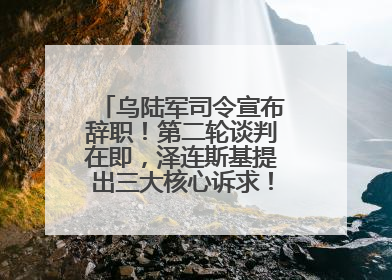 乌陆军司令宣布辞职！第二轮谈判在即，泽连斯基提出三大核心诉求！乌方透露摧毁41架俄战略轰炸机