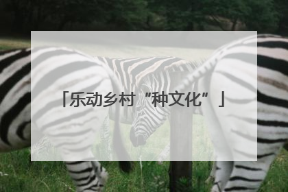 乐动乡村“种文化”