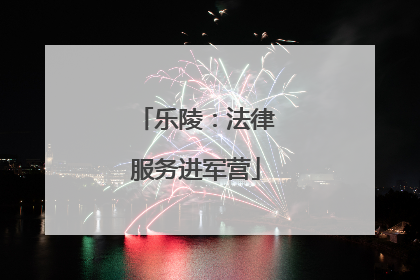 乐陵：法律服务进军营