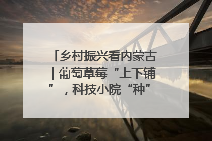 乡村振兴看内蒙古｜葡萄草莓“上下铺”，科技小院“种”出三倍效益