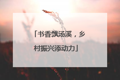 书香飘汤溪，乡村振兴添动力