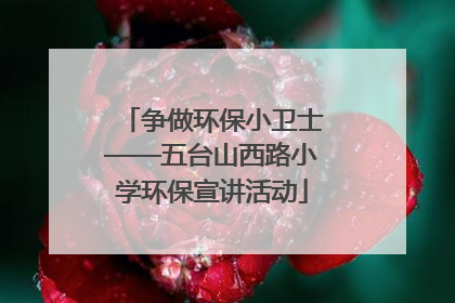 争做环保小卫士——五台山西路小学环保宣讲活动