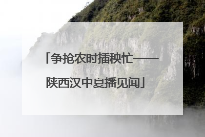 争抢农时插秧忙——陕西汉中夏播见闻