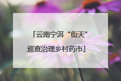 云南宁洱“街天”巡查治理乡村药市