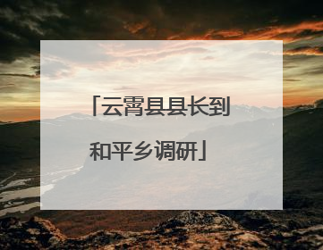 云霄县县长到和平乡调研