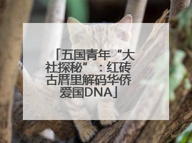 五国青年“大社探秘”：红砖古厝里解码华侨爱国DNA
