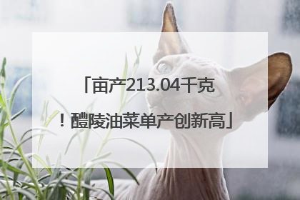 亩产213.04千克！醴陵油菜单产创新高