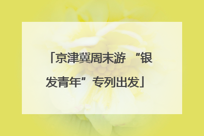 京津冀周末游 “银发青年”专列出发