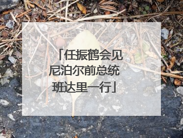 任振鹤会见尼泊尔前总统班达里一行