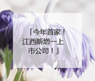 今年首家！江西新增一上市公司！