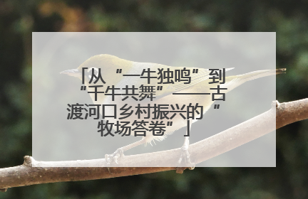 从“一牛独鸣”到“千牛共舞”——古渡河口乡村振兴的“牧场答卷”